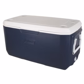 Cooler with lid