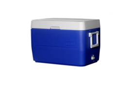 Cooler with lid