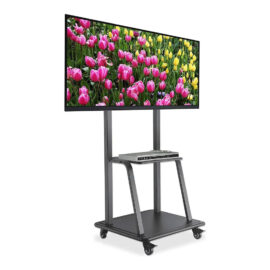 Monitor on rolling stand, 70"